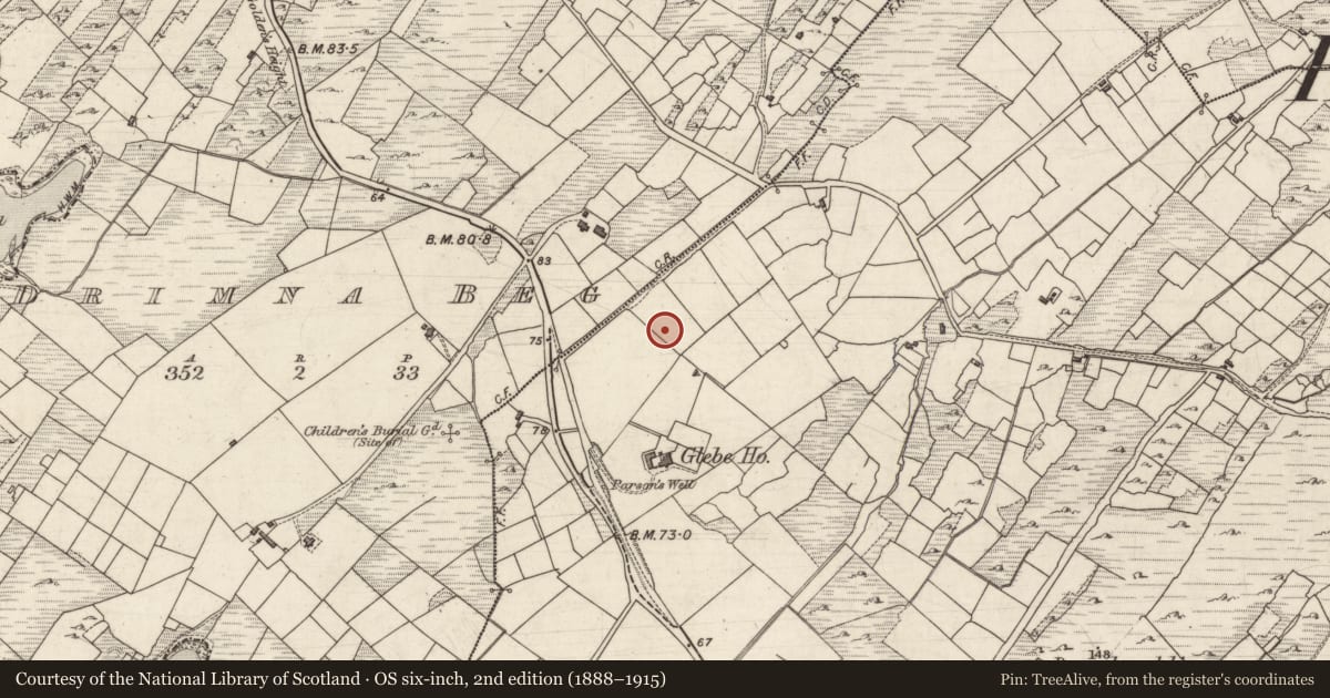 Ordnance Survey six-inch map, 2nd edition (1888–1915) covering the location of Enclosure, Drimna More, County Kerry, with a pin at the register's coordinates