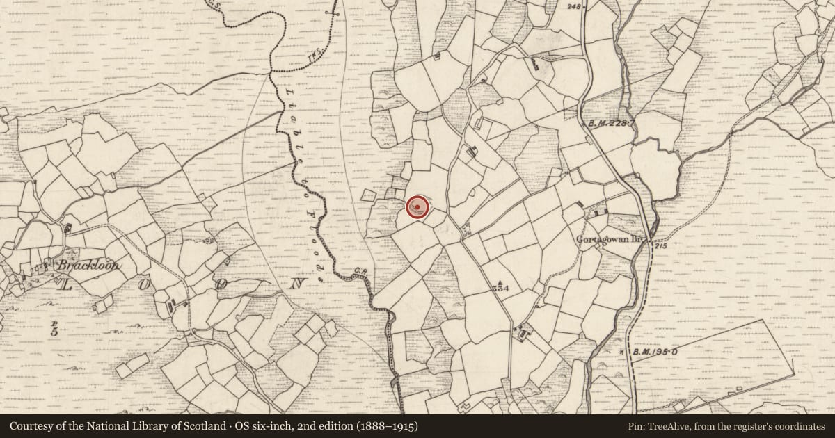 Ordnance Survey six-inch map, 2nd edition (1888–1915) covering the location of Ringfort - rath, Gortagowan, County Kerry, with a pin at the register's coordinates