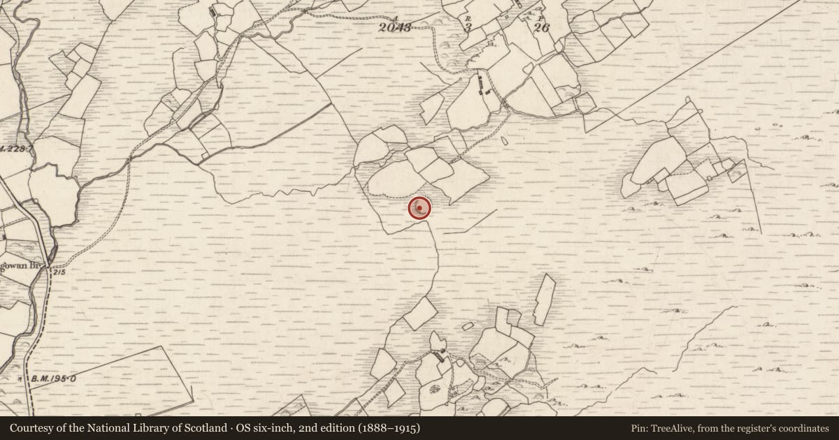 Ordnance Survey six-inch map, 2nd edition (1888–1915) covering the location of Ringfort - rath, Gortagowan, County Kerry, with a pin at the register's coordinates