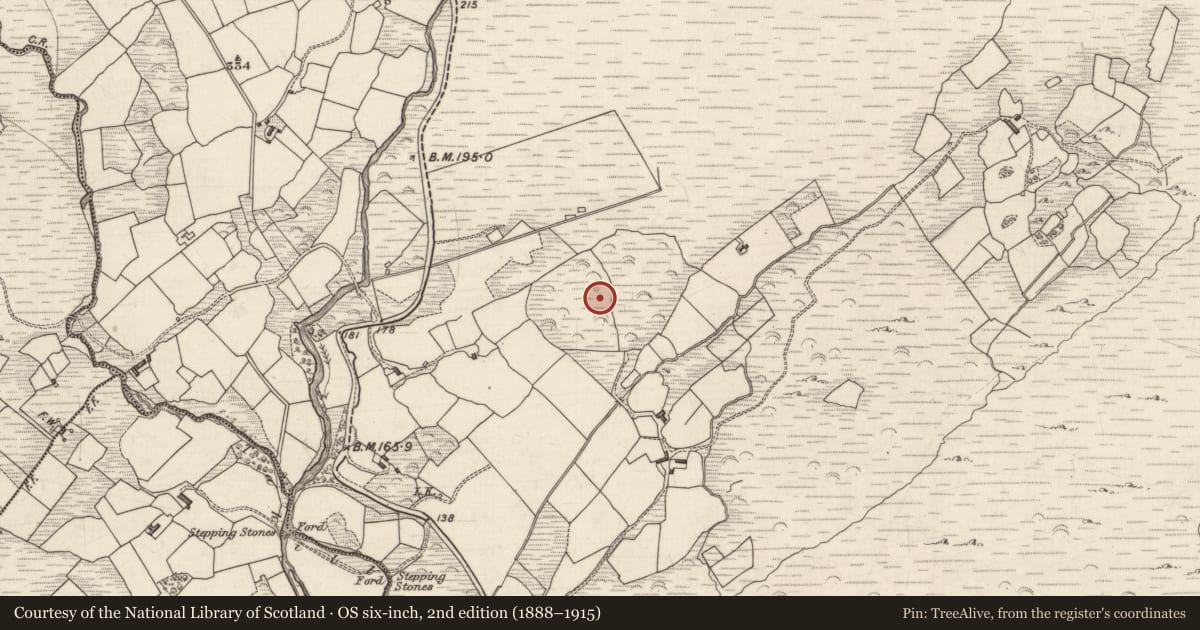 Ordnance Survey six-inch map, 2nd edition (1888–1915) covering the location of Hut site, Gortagowan, County Kerry, with a pin at the register's coordinates