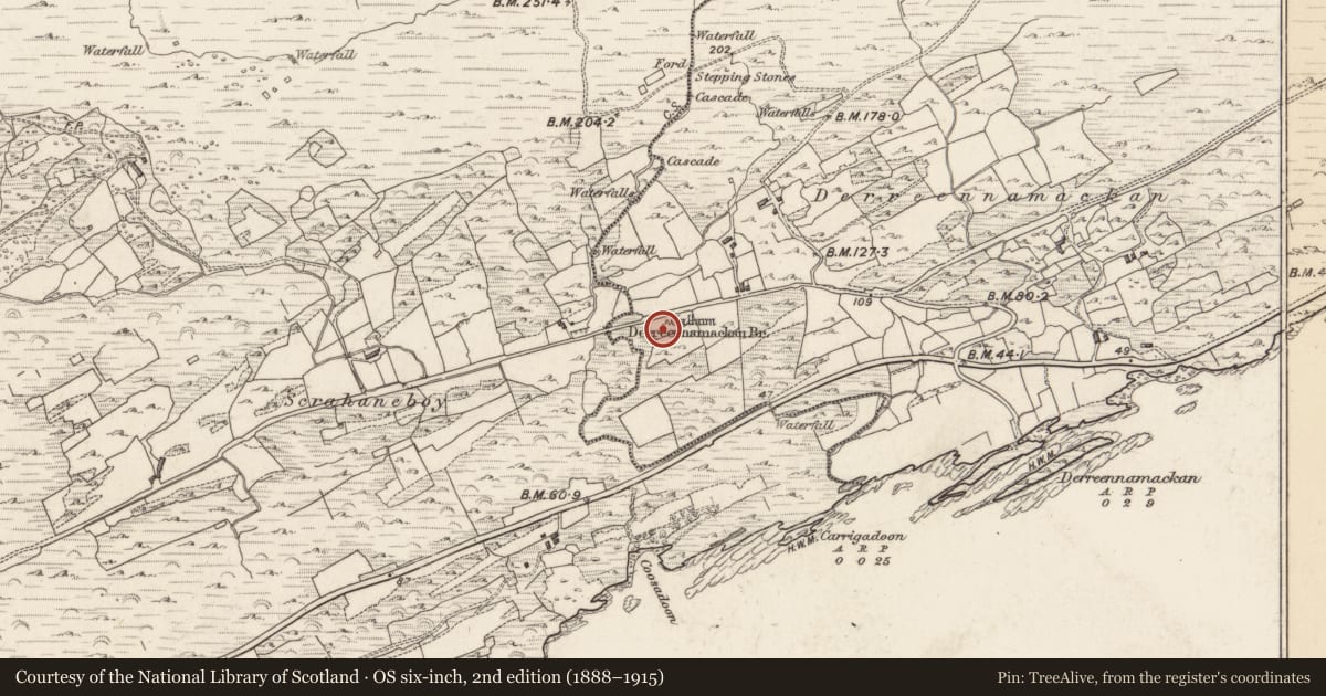Ordnance Survey six-inch map, 2nd edition (1888–1915) covering the location of Standing stone, Derreenafoyle, County Kerry, with a pin at the register's coordinates