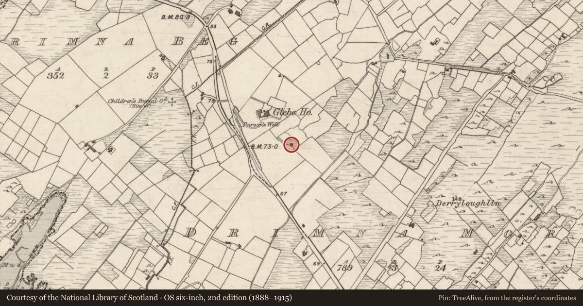 Ordnance Survey six-inch map, 2nd edition (1888–1915) covering the location of Enclosure, Drimna More, County Kerry, with a pin at the register's coordinates