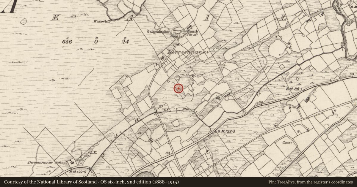 Ordnance Survey six-inch map, 2nd edition (1888–1915) covering the location of Enclosure, Ankail, County Kerry, with a pin at the register's coordinates