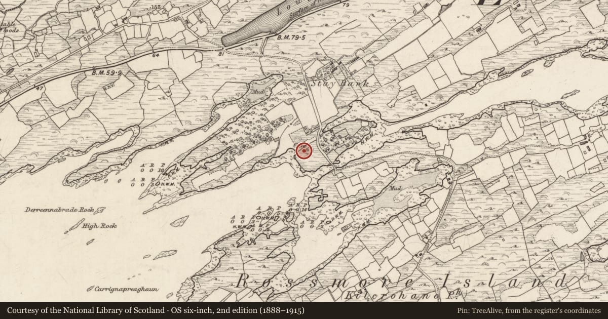 Ordnance Survey six-inch map, 2nd edition (1888–1915) covering the location of Souterrain, Derreennamucklagh, County Kerry, with a pin at the register's coordinates