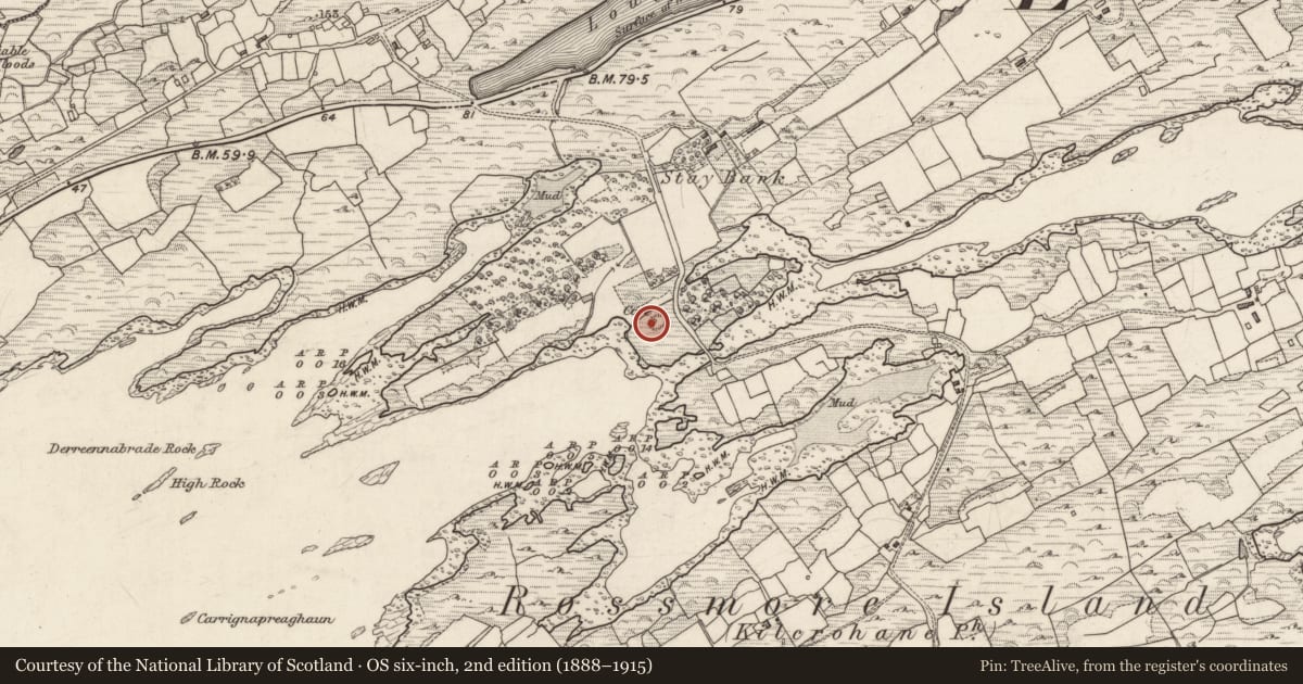 Ordnance Survey six-inch map, 2nd edition (1888–1915) covering the location of Children's burial ground, Derreennamucklagh, County Kerry, with a pin at the register's coordinates
