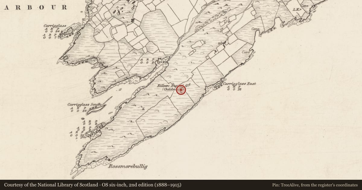 Ordnance Survey six-inch map, 2nd edition (1888–1915) covering the location of Children's burial ground, Rossmore Island, County Kerry, with a pin at the register's coordinates