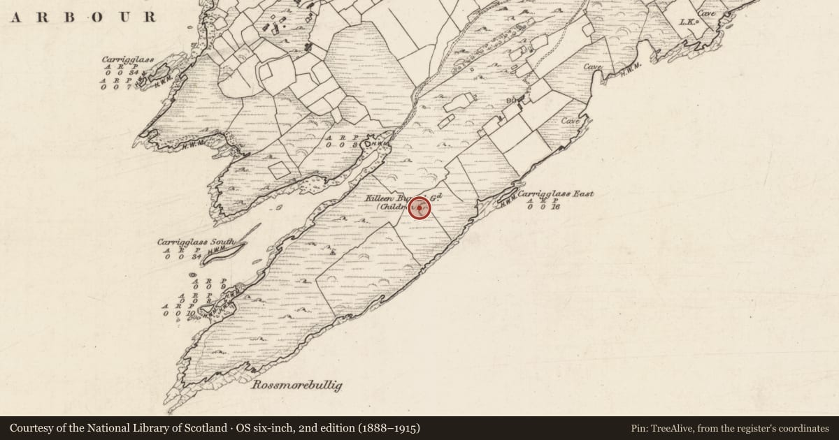 Ordnance Survey six-inch map, 2nd edition (1888–1915) covering the location of Ringfort - cashel, Rossmore Island, County Kerry, with a pin at the register's coordinates