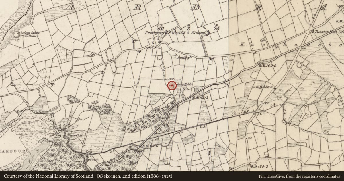 Ordnance Survey six-inch map, 2nd edition (1888–1915) covering the location of Hut site, Ardea, County Kerry, with a pin at the register's coordinates