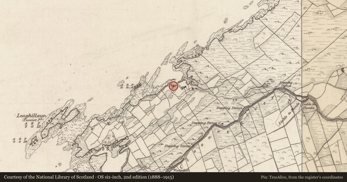Ordnance Survey six-inch map, 2nd edition (1888–1915) covering the location of Souterrain, Cloonee, County Kerry, with a pin at the register's coordinates