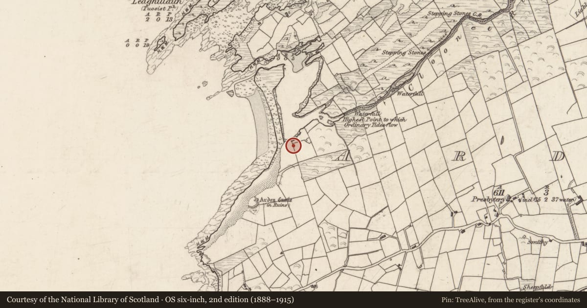 Ordnance Survey six-inch map, 2nd edition (1888–1915) covering the location of Children's burial ground, Ardea, County Kerry, with a pin at the register's coordinates