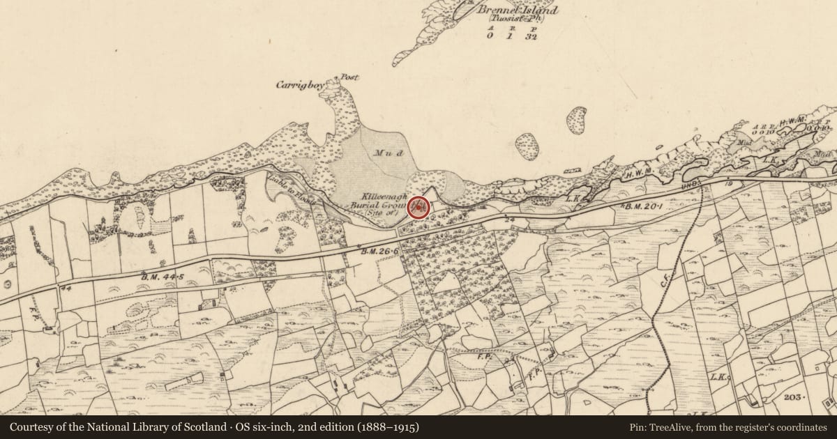Ordnance Survey six-inch map, 2nd edition (1888–1915) covering the location of Children's burial ground, Feoramore, County Kerry, with a pin at the register's coordinates