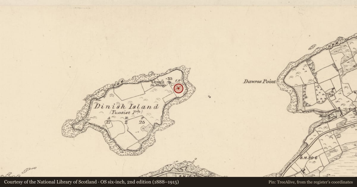 Ordnance Survey six-inch map, 2nd edition (1888–1915) covering the location of Well, Dinish Island, County Kerry, with a pin at the register's coordinates