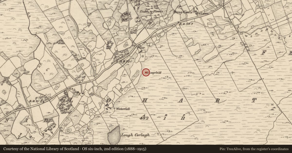 Ordnance Survey six-inch map, 2nd edition (1888–1915) covering the location of Hut site, Lohart, County Kerry, with a pin at the register's coordinates