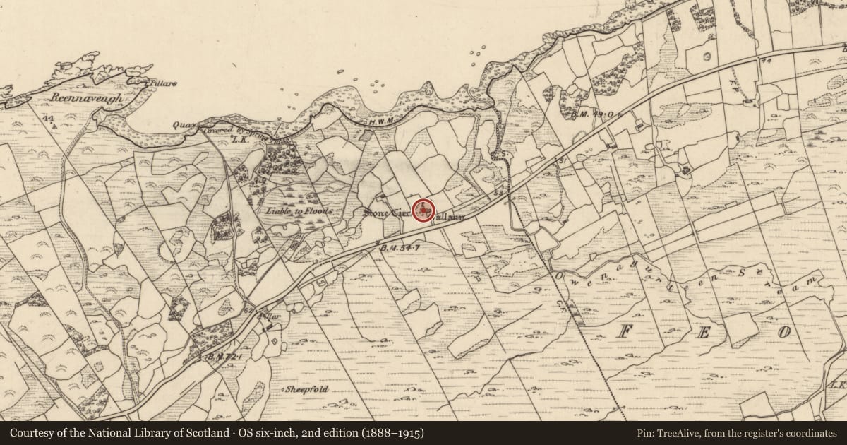 Ordnance Survey six-inch map, 2nd edition (1888–1915) covering the location of Stone circle - multiple-stone, Lohart, County Kerry, with a pin at the register's coordinates