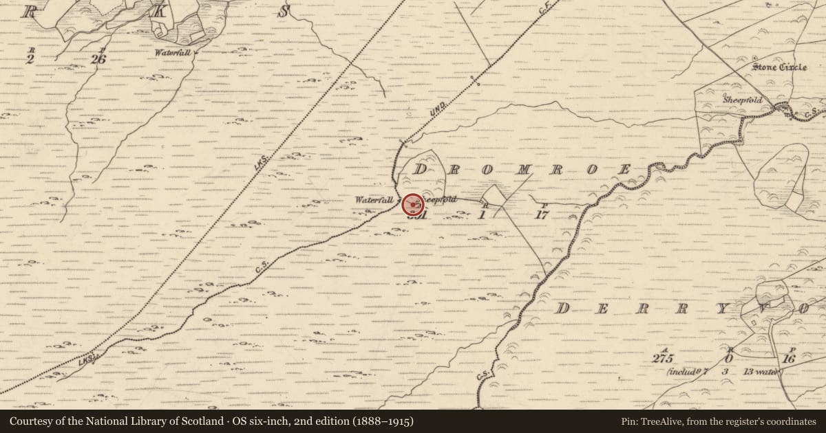 Ordnance Survey six-inch map, 2nd edition (1888–1915) covering the location of Enclosure, Dromroe, County Kerry, with a pin at the register's coordinates
