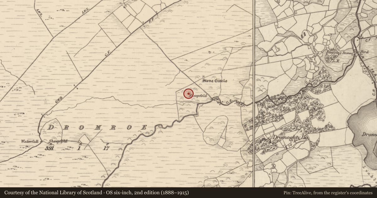 Ordnance Survey six-inch map, 2nd edition (1888–1915) covering the location of Enclosure, Dromroe, County Kerry, with a pin at the register's coordinates