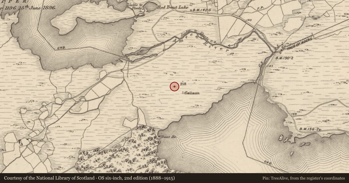 Ordnance Survey six-inch map, 2nd edition (1888–1915) covering the location of Field boundary, Uragh, County Kerry, with a pin at the register's coordinates