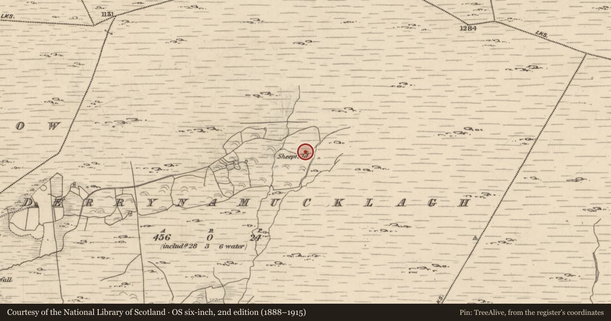 Ordnance Survey six-inch map, 2nd edition (1888–1915) covering the location of Enclosure, Derrynamucklagh, County Kerry, with a pin at the register's coordinates