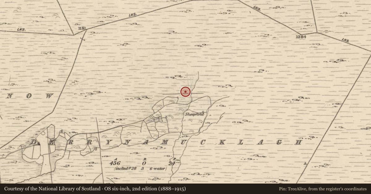 Ordnance Survey six-inch map, 2nd edition (1888–1915) covering the location of Field boundary, Derrynamucklagh, County Kerry, with a pin at the register's coordinates