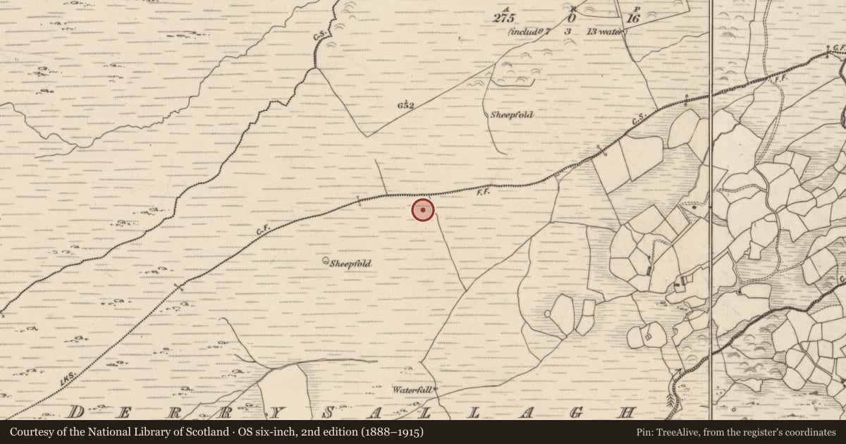Ordnance Survey six-inch map, 2nd edition (1888–1915) covering the location of Field boundary, Derrysallagh, Derryvorahig, County Kerry, with a pin at the register's coordinates