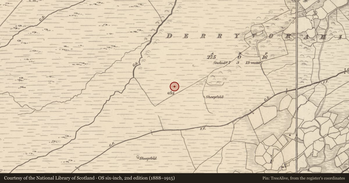 Ordnance Survey six-inch map, 2nd edition (1888–1915) covering the location of Standing stone, Derryvorahig, County Kerry, with a pin at the register's coordinates