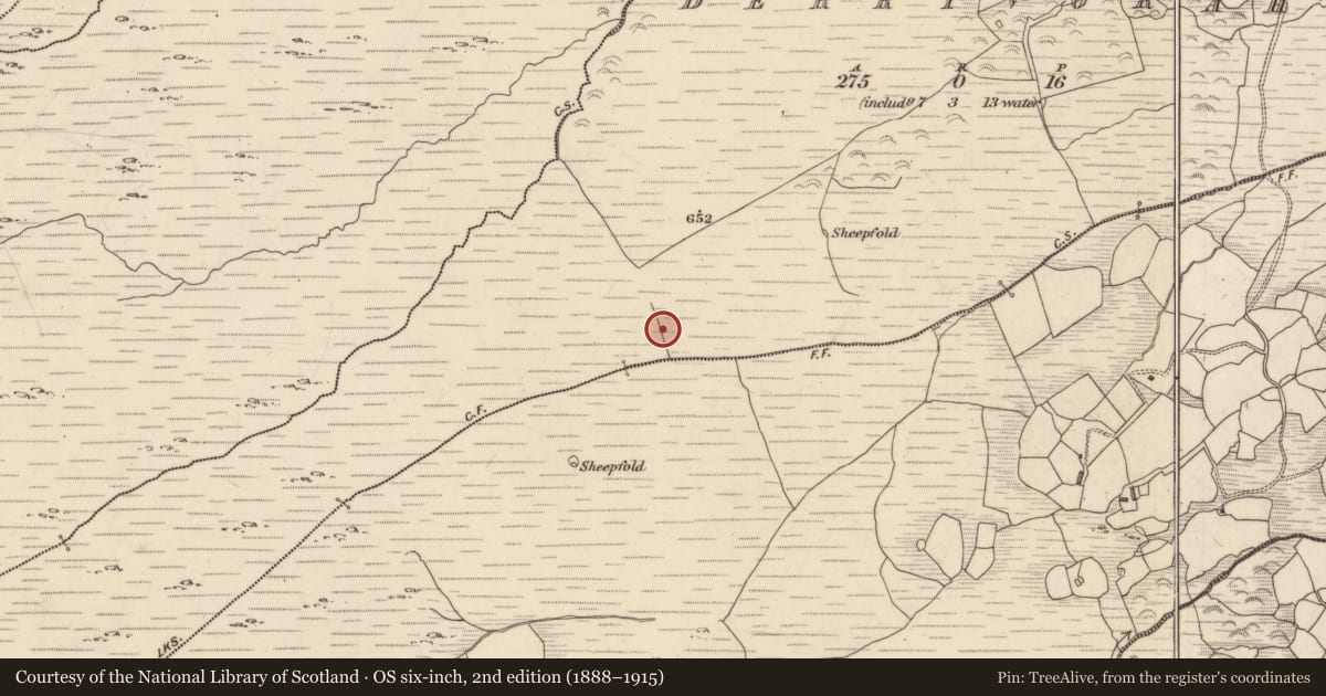 Ordnance Survey six-inch map, 2nd edition (1888–1915) covering the location of Standing stone - pair, Derryvorahig, County Kerry, with a pin at the register's coordinates