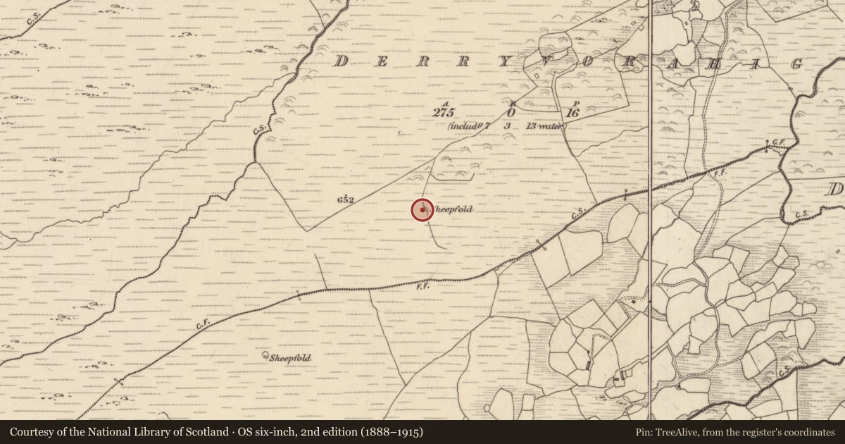 Ordnance Survey six-inch map, 2nd edition (1888–1915) covering the location of Enclosure, Derryvorahig, County Kerry, with a pin at the register's coordinates