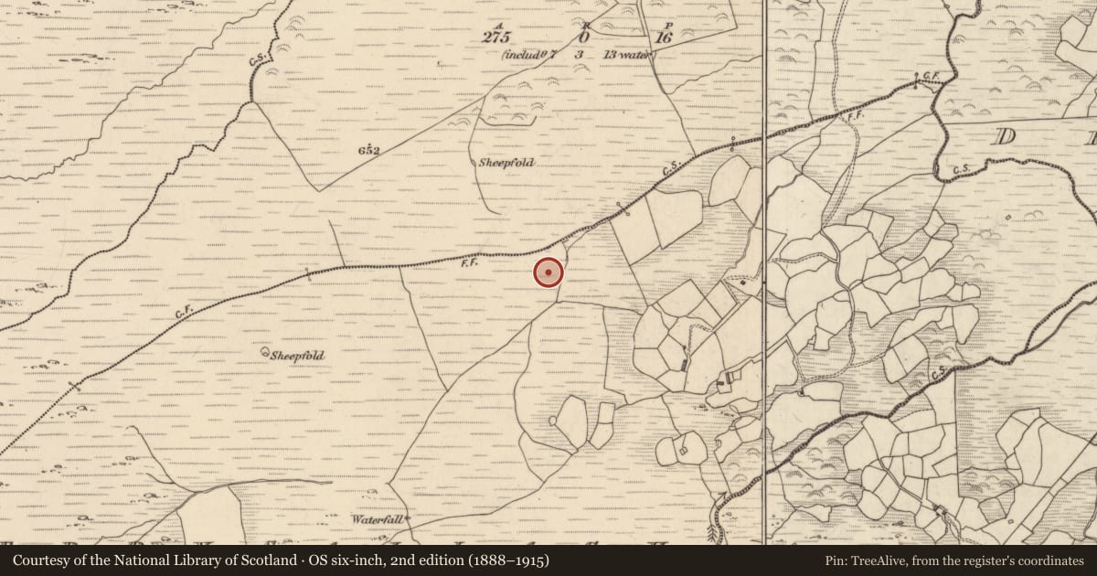 Ordnance Survey six-inch map, 2nd edition (1888–1915) covering the location of Fulacht fia, Derrysallagh, County Kerry, with a pin at the register's coordinates