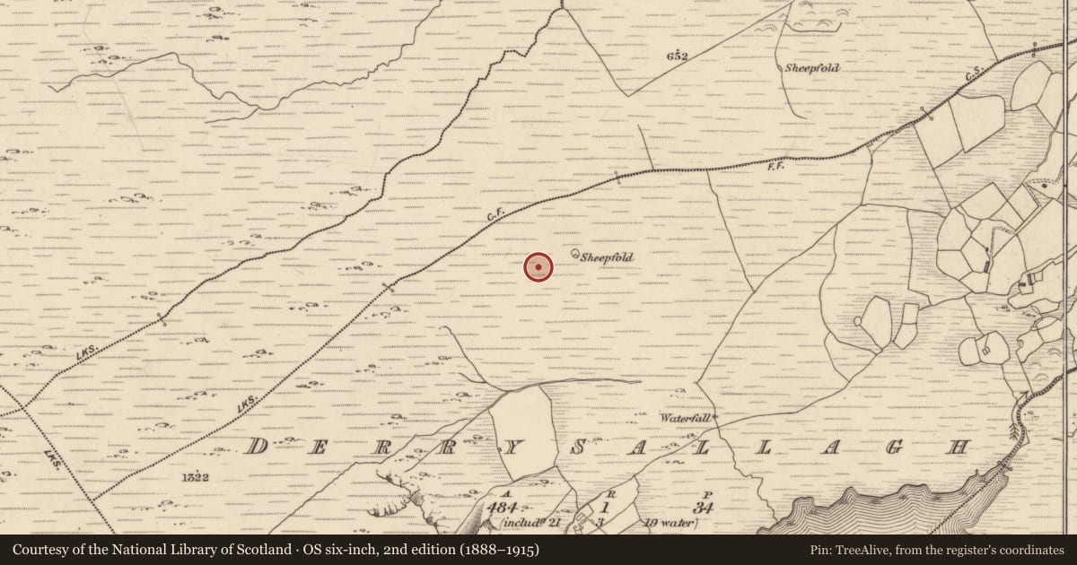 Ordnance Survey six-inch map, 2nd edition (1888–1915) covering the location of Stone row, Derrysallagh, County Kerry, with a pin at the register's coordinates