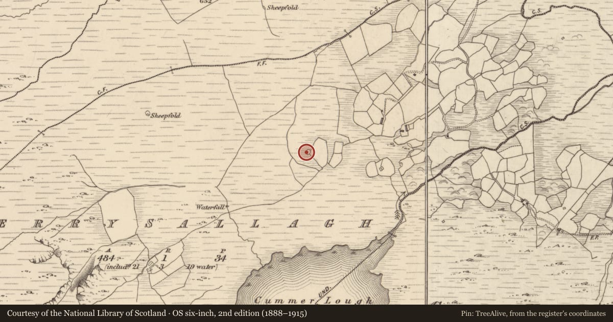 Ordnance Survey six-inch map, 2nd edition (1888–1915) covering the location of Ringfort - cashel, Derrysallagh, County Kerry, with a pin at the register's coordinates