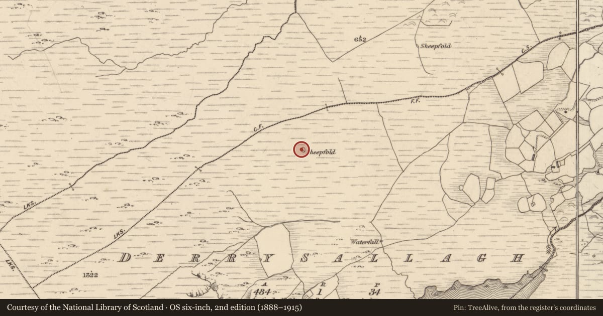 Ordnance Survey six-inch map, 2nd edition (1888–1915) covering the location of Enclosure, Derrysallagh, County Kerry, with a pin at the register's coordinates