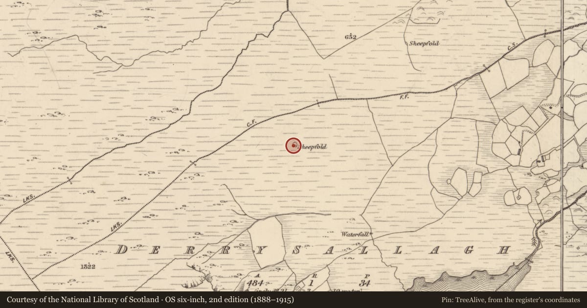 Ordnance Survey six-inch map, 2nd edition (1888–1915) covering the location of Enclosure, Derrysallagh, County Kerry, with a pin at the register's coordinates