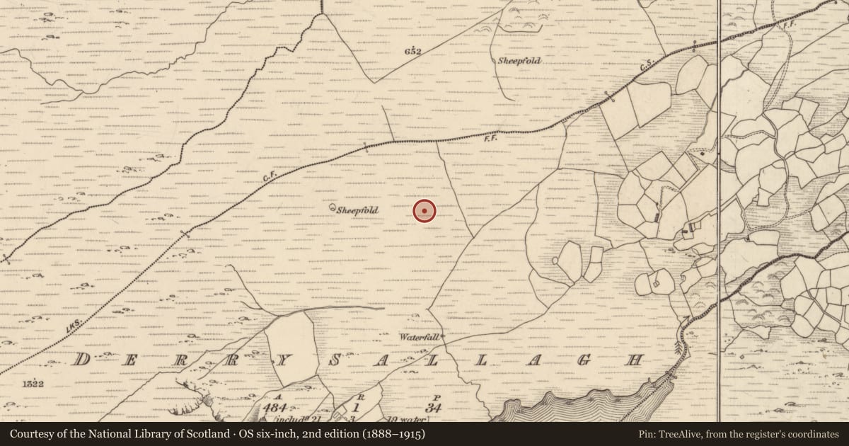 Ordnance Survey six-inch map, 2nd edition (1888–1915) covering the location of Enclosure, Derrysallagh, County Kerry, with a pin at the register's coordinates