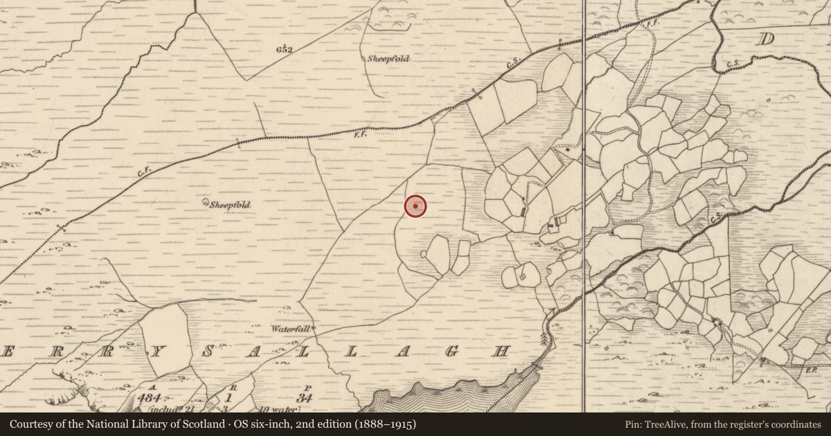 Ordnance Survey six-inch map, 2nd edition (1888–1915) covering the location of Enclosure, Derrysallagh, County Kerry, with a pin at the register's coordinates