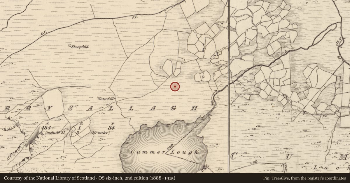 Ordnance Survey six-inch map, 2nd edition (1888–1915) covering the location of Standing stone, Derrysallagh, County Kerry, with a pin at the register's coordinates