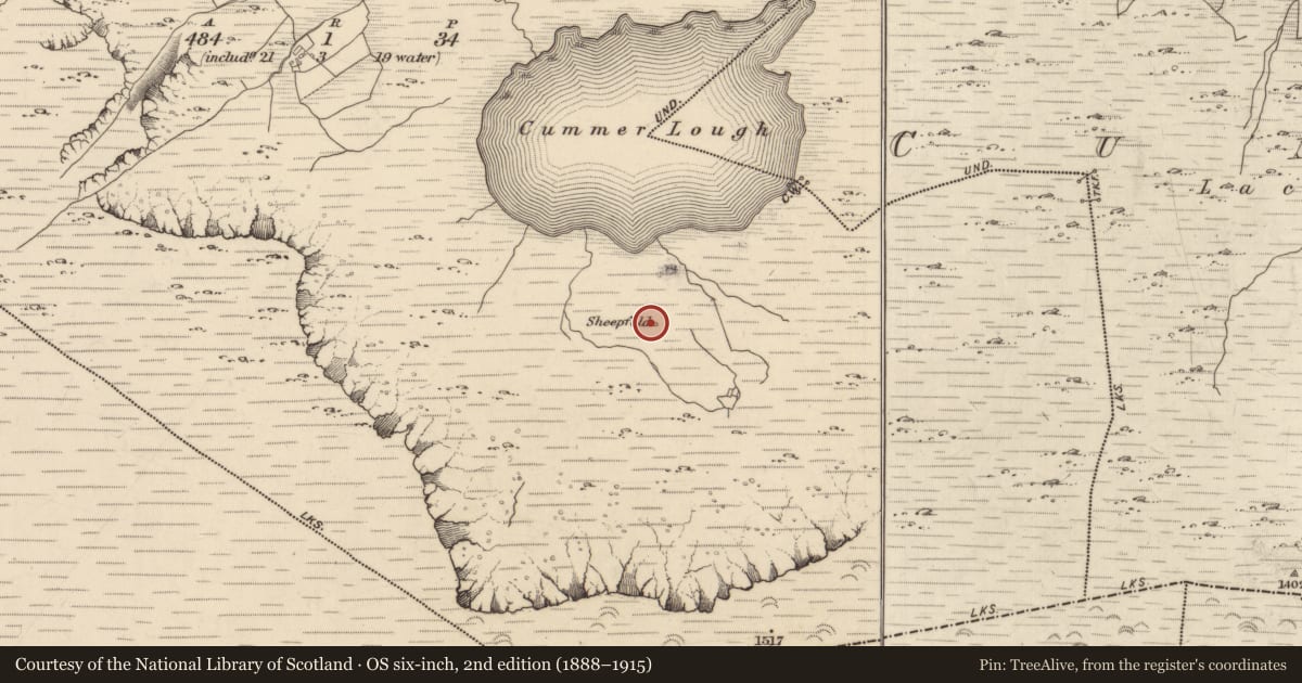 Ordnance Survey six-inch map, 2nd edition (1888–1915) covering the location of Hut site, Derrysallagh, County Kerry, with a pin at the register's coordinates