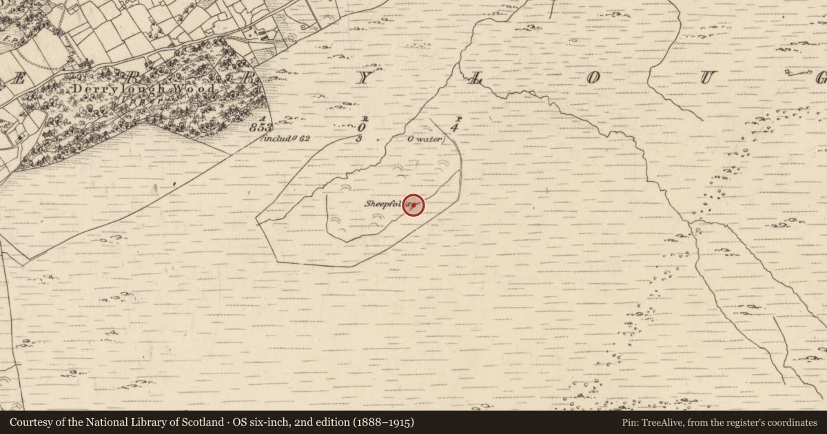 Ordnance Survey six-inch map, 2nd edition (1888–1915) covering the location of Hut site, Derrylough, County Kerry, with a pin at the register's coordinates