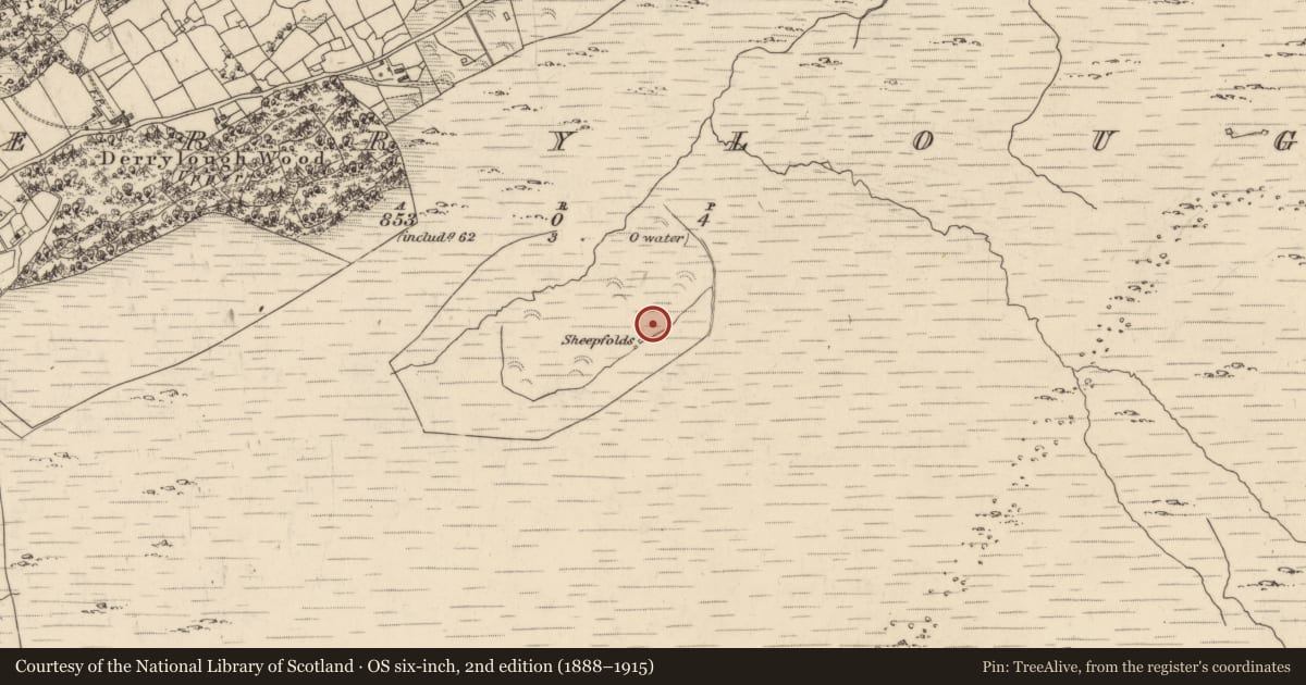 Ordnance Survey six-inch map, 2nd edition (1888–1915) covering the location of Hut site, Derrylough, County Kerry, with a pin at the register's coordinates