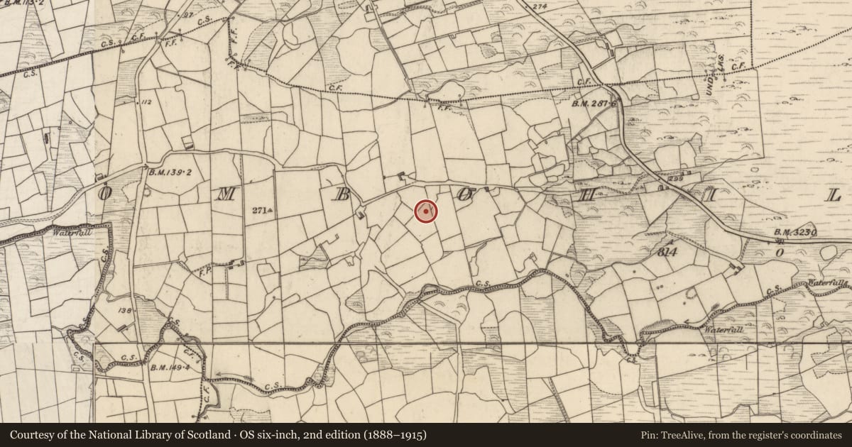 Ordnance Survey six-inch map, 2nd edition (1888–1915) covering the location of Enclosure, Drombohilly Lower, County Kerry, with a pin at the register's coordinates
