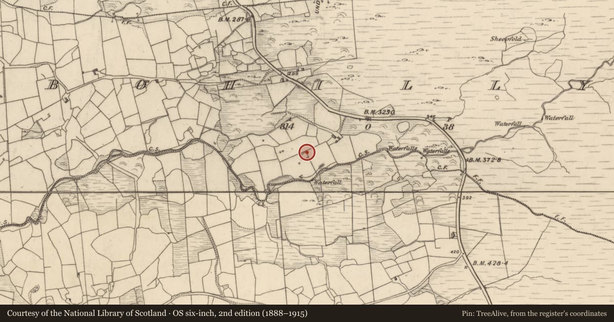 Ordnance Survey six-inch map, 2nd edition (1888–1915) covering the location of Enclosure, Drombohilly Lower, County Kerry, with a pin at the register's coordinates