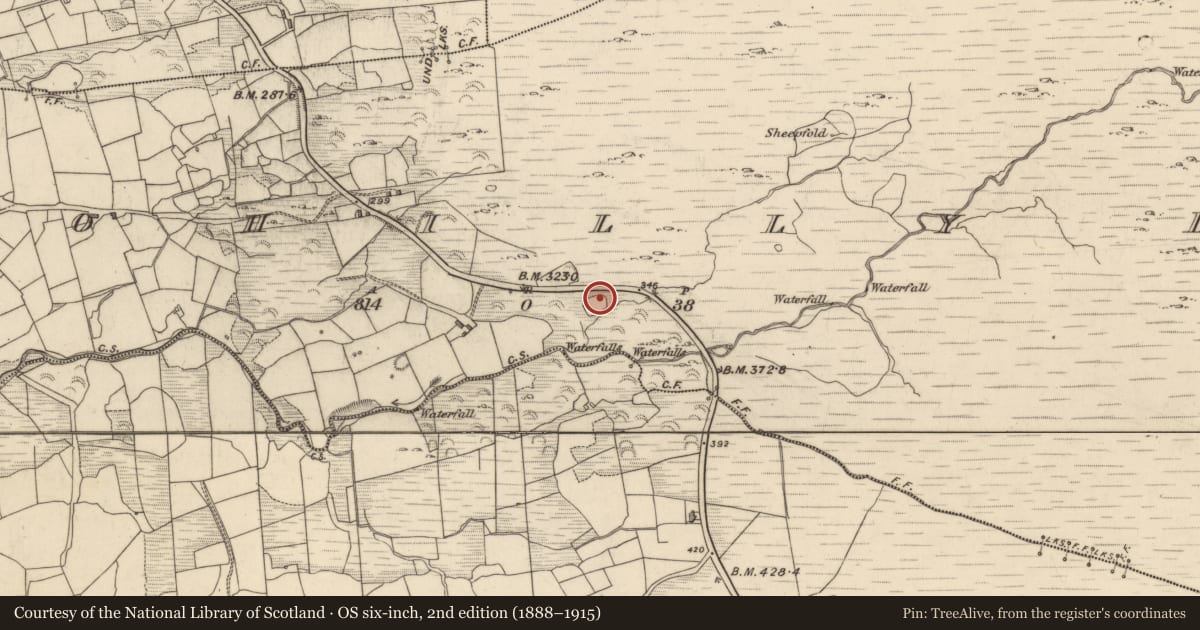 Ordnance Survey six-inch map, 2nd edition (1888–1915) covering the location of Ringfort - rath, Drombohilly Lower, County Kerry, with a pin at the register's coordinates