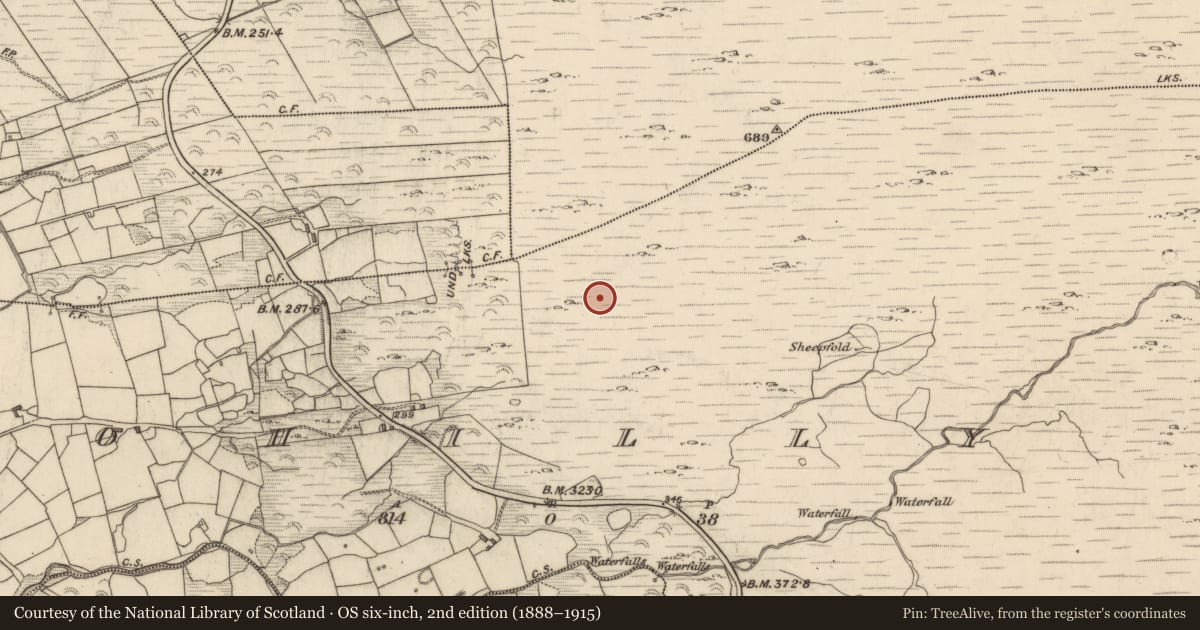 Ordnance Survey six-inch map, 2nd edition (1888–1915) covering the location of Field boundary, Drombohilly Lower, County Kerry, with a pin at the register's coordinates