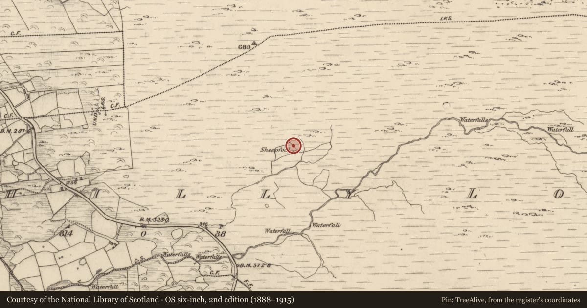 Ordnance Survey six-inch map, 2nd edition (1888–1915) covering the location of Hut site, Drombohilly Lower, County Kerry, with a pin at the register's coordinates