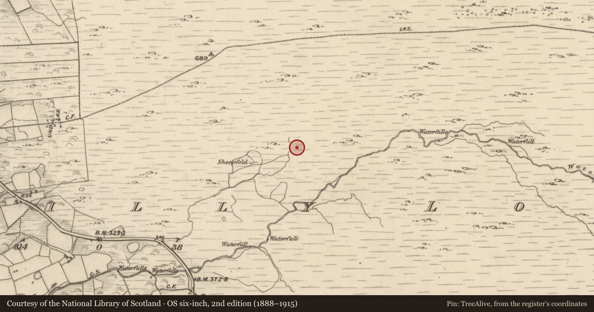 Ordnance Survey six-inch map, 2nd edition (1888–1915) covering the location of Standing stone, Drombohilly Lower, County Kerry, with a pin at the register's coordinates
