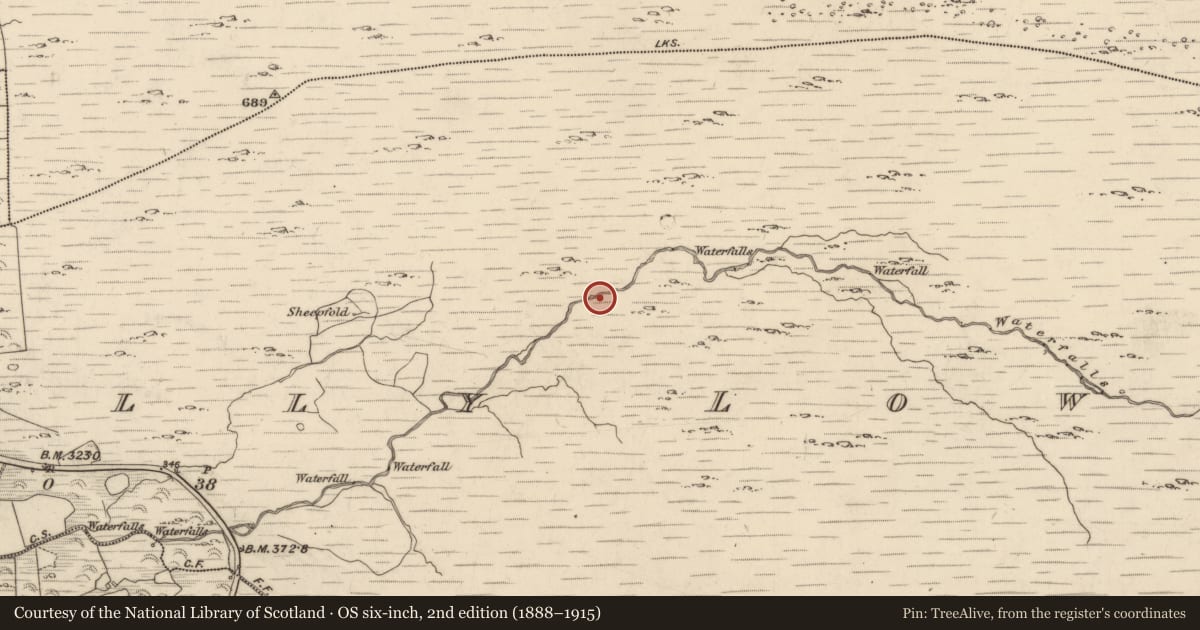 Ordnance Survey six-inch map, 2nd edition (1888–1915) covering the location of Enclosure, Drombohilly Lower, County Kerry, with a pin at the register's coordinates