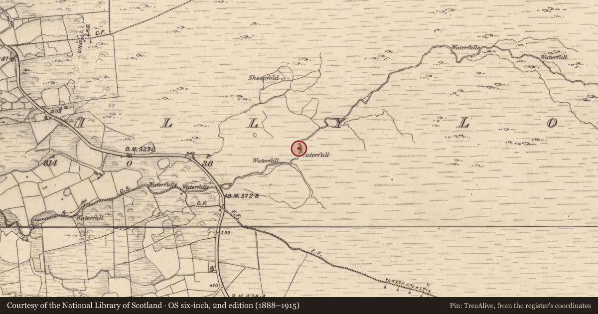 Ordnance Survey six-inch map, 2nd edition (1888–1915) covering the location of Standing stone - pair, Drombohilly Lower, County Kerry, with a pin at the register's coordinates
