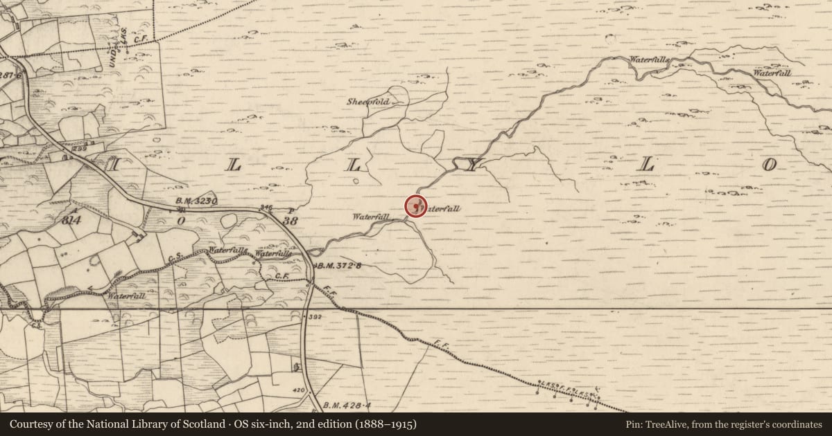 Ordnance Survey six-inch map, 2nd edition (1888–1915) covering the location of Anomalous stone group, Drombohilly Lower, County Kerry, with a pin at the register's coordinates