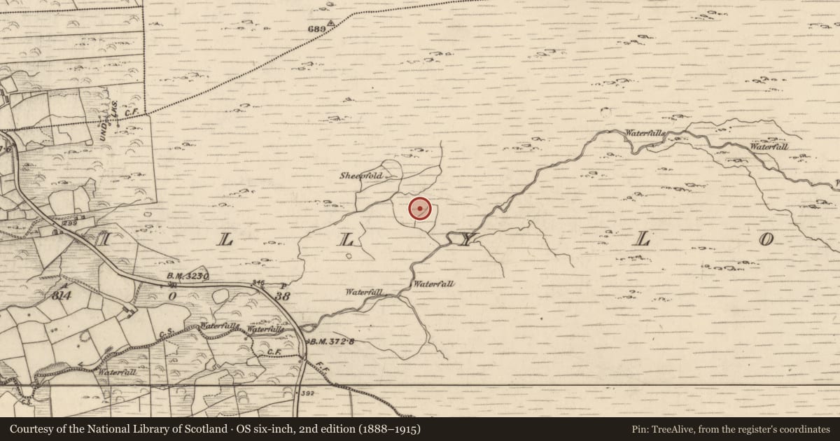 Ordnance Survey six-inch map, 2nd edition (1888–1915) covering the location of Field boundary, Drombohilly Lower, County Kerry, with a pin at the register's coordinates