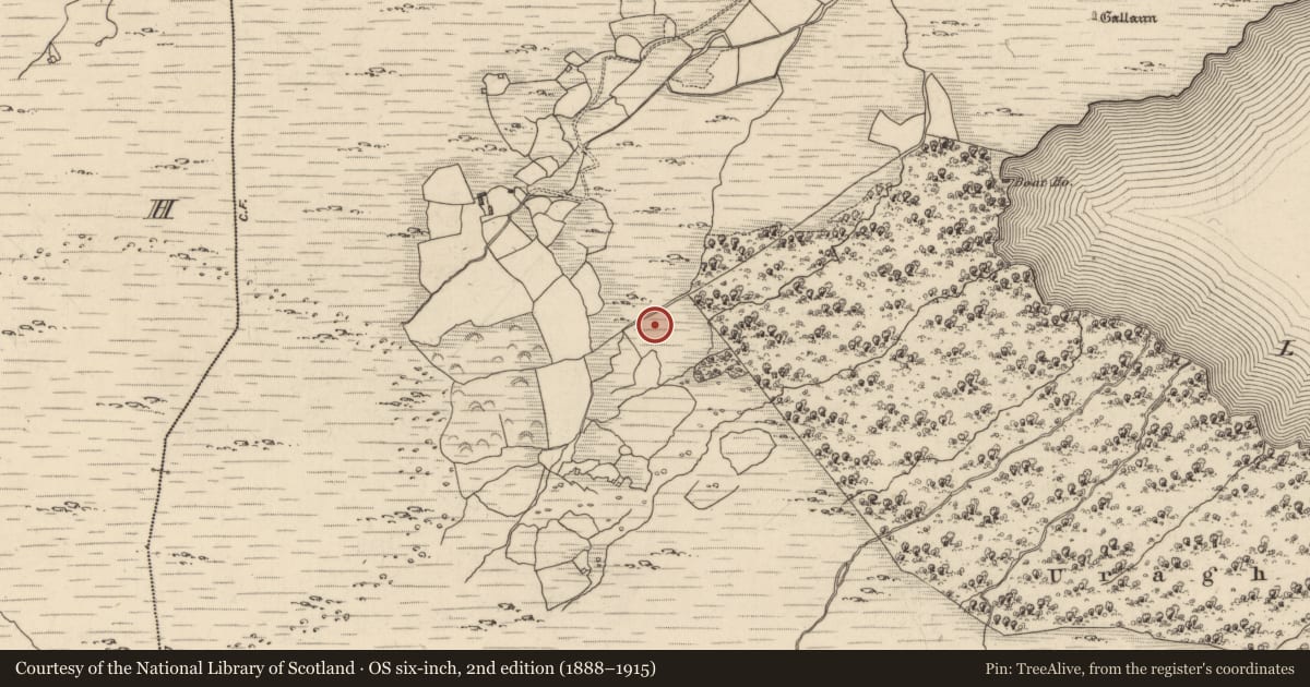 Ordnance Survey six-inch map, 2nd edition (1888–1915) covering the location of Boulder-burial, Uragh, County Kerry, with a pin at the register's coordinates