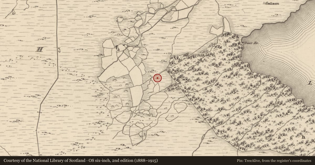 Ordnance Survey six-inch map, 2nd edition (1888–1915) covering the location of Boulder-burial, Uragh, County Kerry, with a pin at the register's coordinates